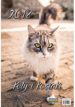 Kalendarz ścienny 2018 Koty i kociaki